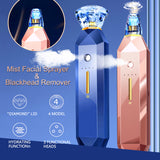 2-IN-1 Blackhead Remover Vacuum Pore Cleaner Acne Remover