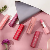 6-Color Matte Lipstick Set | Long-Lasting Beauty Lip Gloss